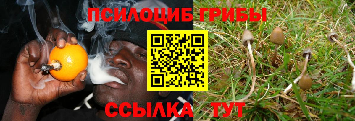 Псилоцибиновые грибы GOLDEN TEACHER Пенза